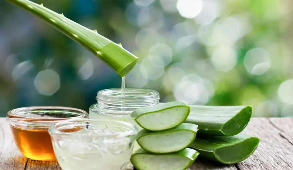 aloe-vera-9-health-benefits